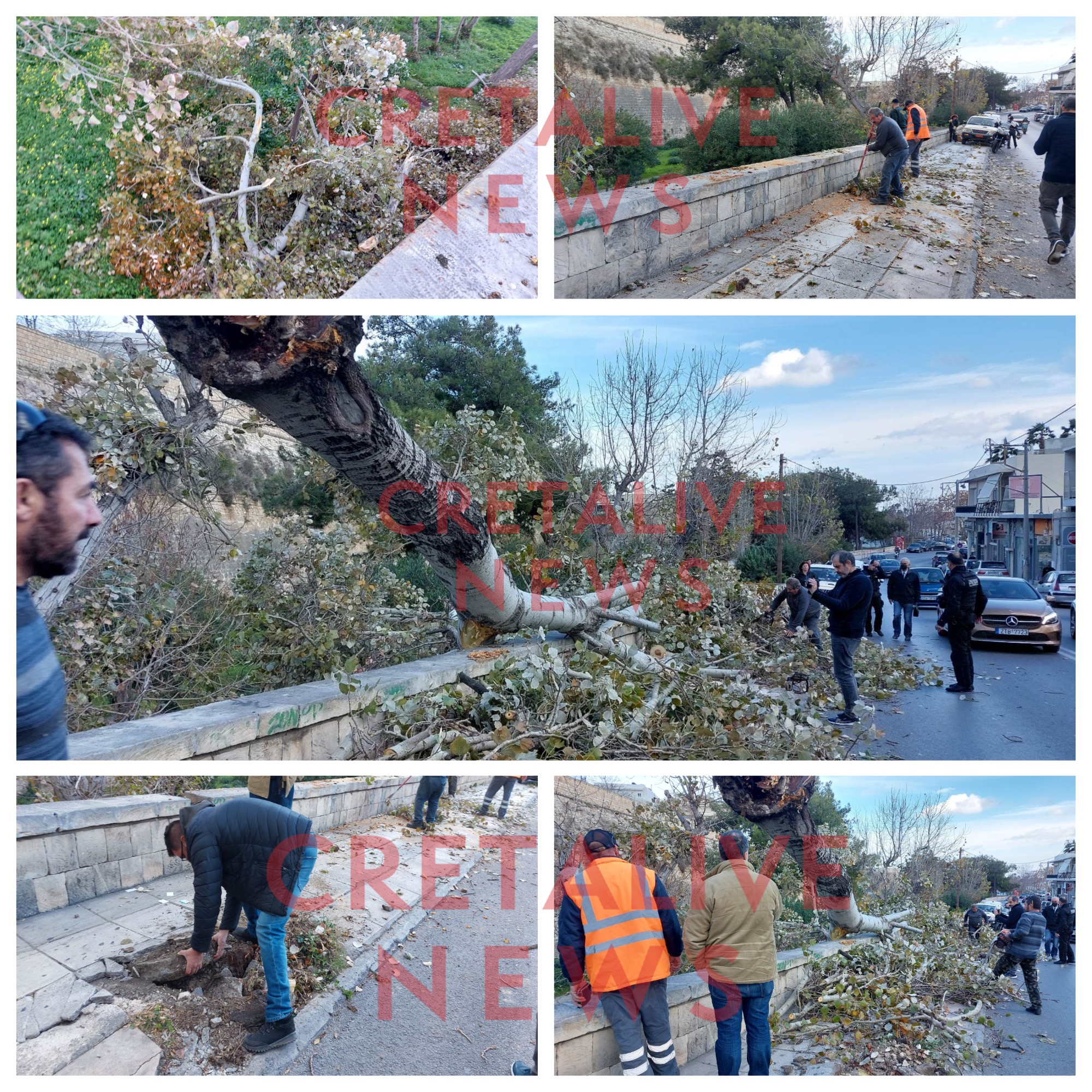 Δέντρο Ικάρου πτώση
