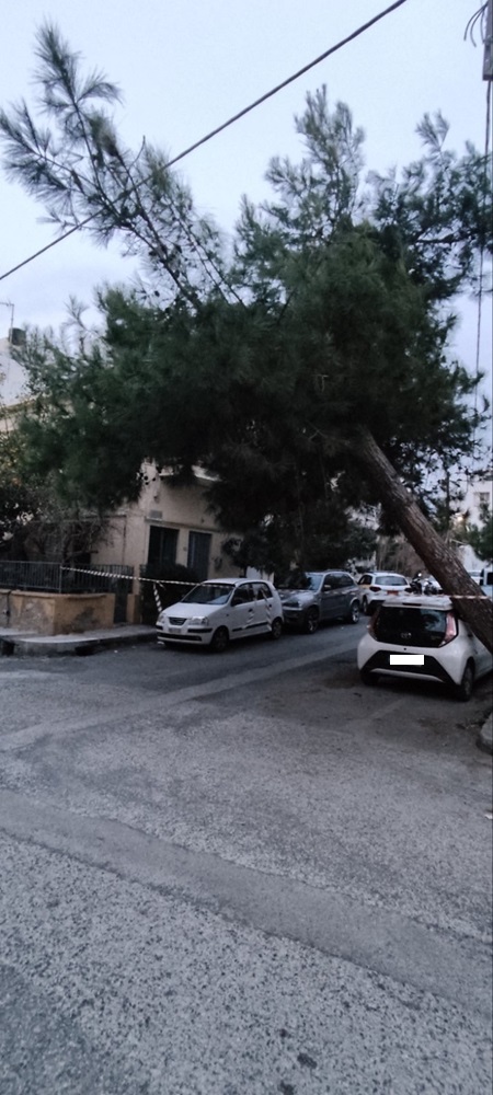 Δέντρο κλίση