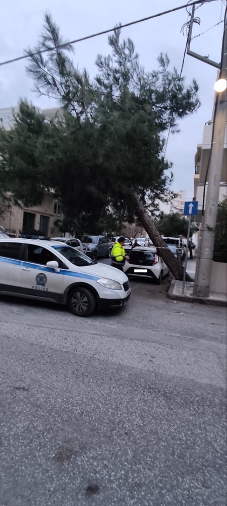 Δέντρο κλίση