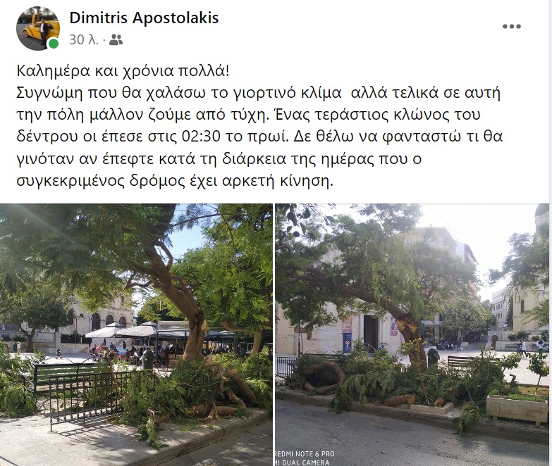 δεντρα ηρακλειο