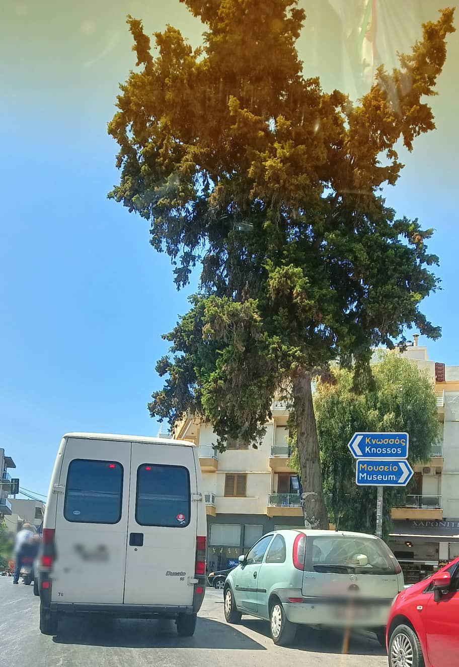 Δέντρο Δημοκρατίας