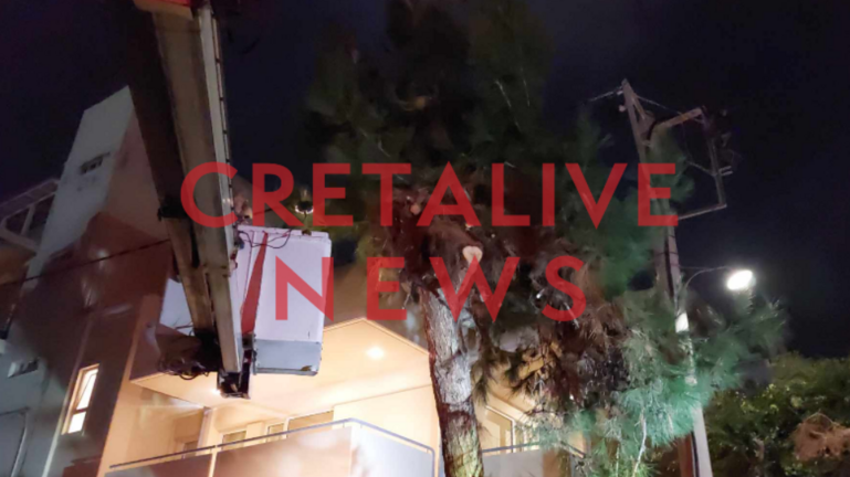 Δέντρο-Ηράκλειο