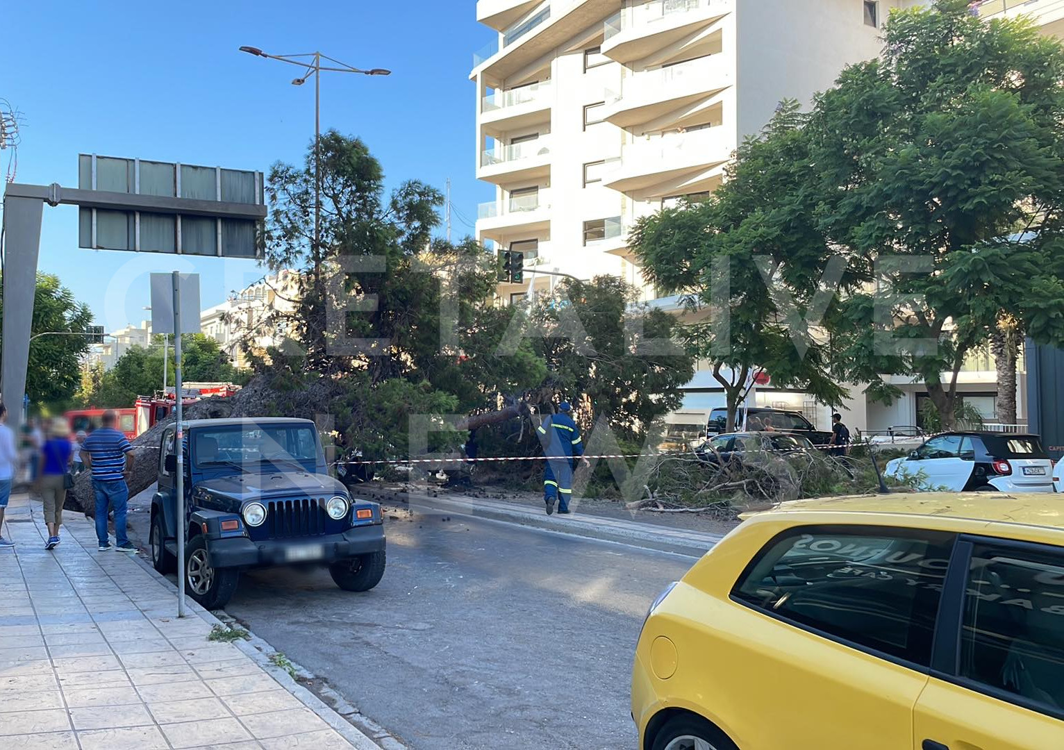 νεκρός-οδηγός-πτώση-δέντρου