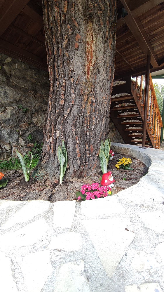 Δεντρόσπιτο