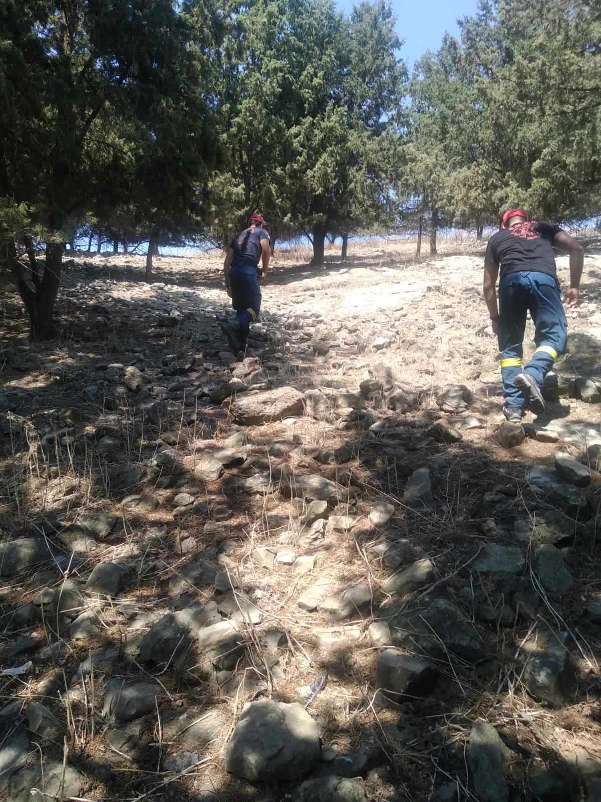 diasosi prassiano faraggi 3