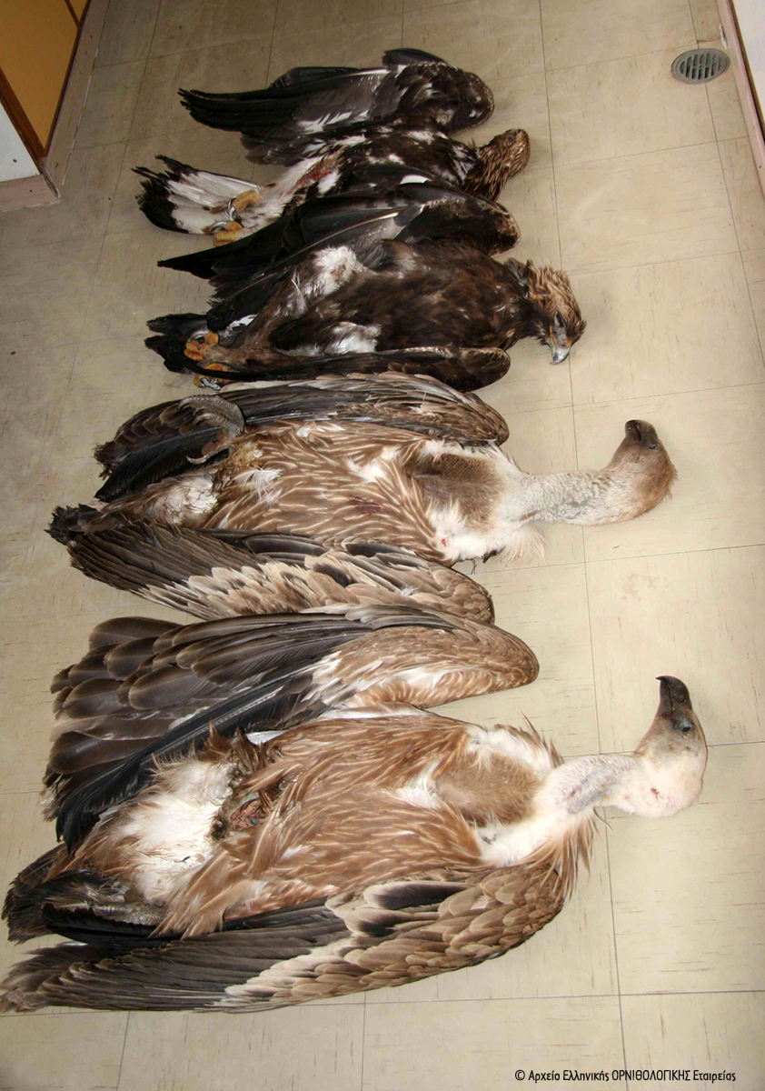 δηλητηριασμένα δολώματα