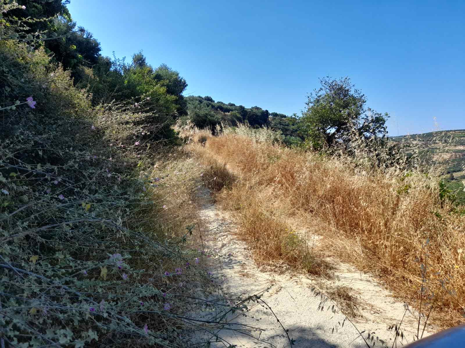 ​Αγροτικός δρόμος