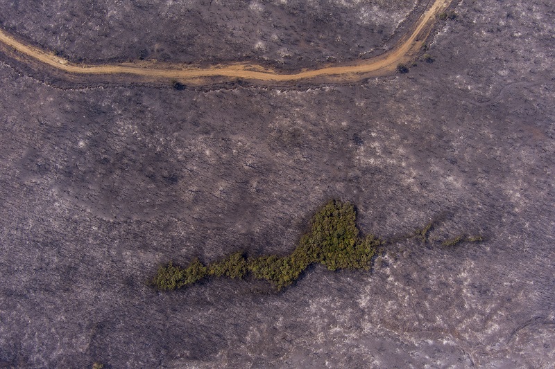 ΒΑΣΙΛΗΣ ΒΕΡΒΕΡΙΔΗΣ / ΜΟΤΙΟΝ ΤΕΑΜ)