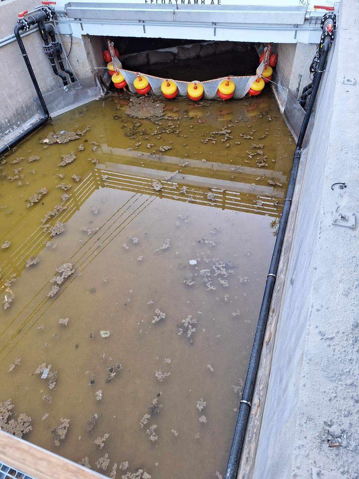 dysosmia agia pelagia2