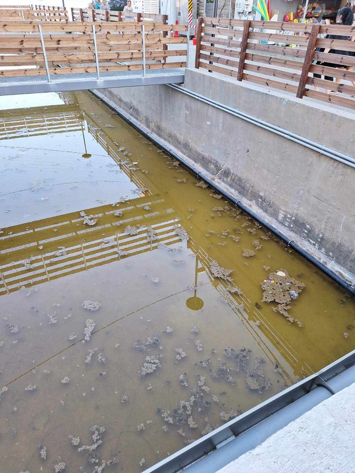 dysosmia agia pelagia3