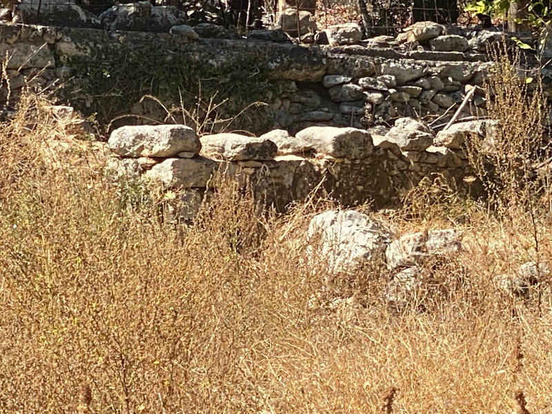 Οργή, φόβος και απόγνωση για τους καταπατητές κτηνοτρόφους στο Μυλοπόταμο
