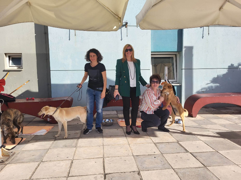 Eκδήλωση του Cretalive, για τον Εθελοντισμό και την Προσφορά