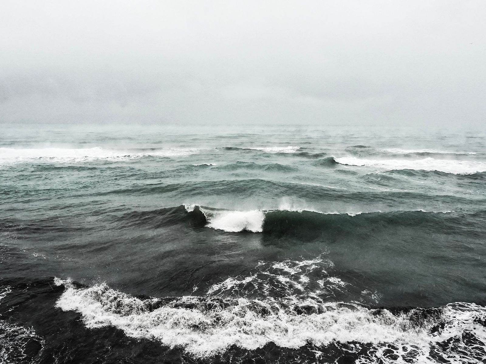 Μαρίνα Μεταξάκη Ασύμβατη πορεία