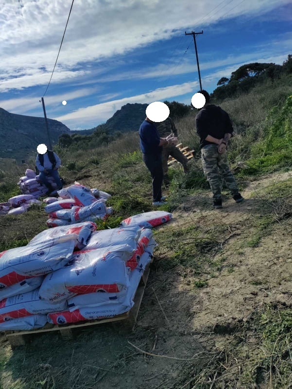 ελιές κεθεα ηρακλειο