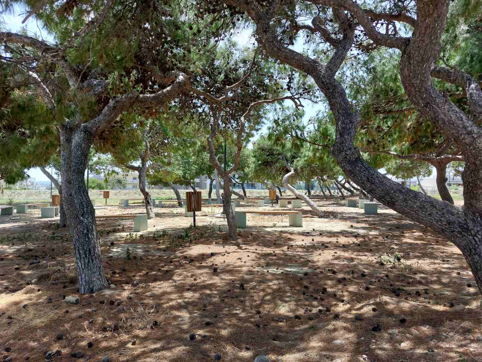 enetika teixi pagkakia