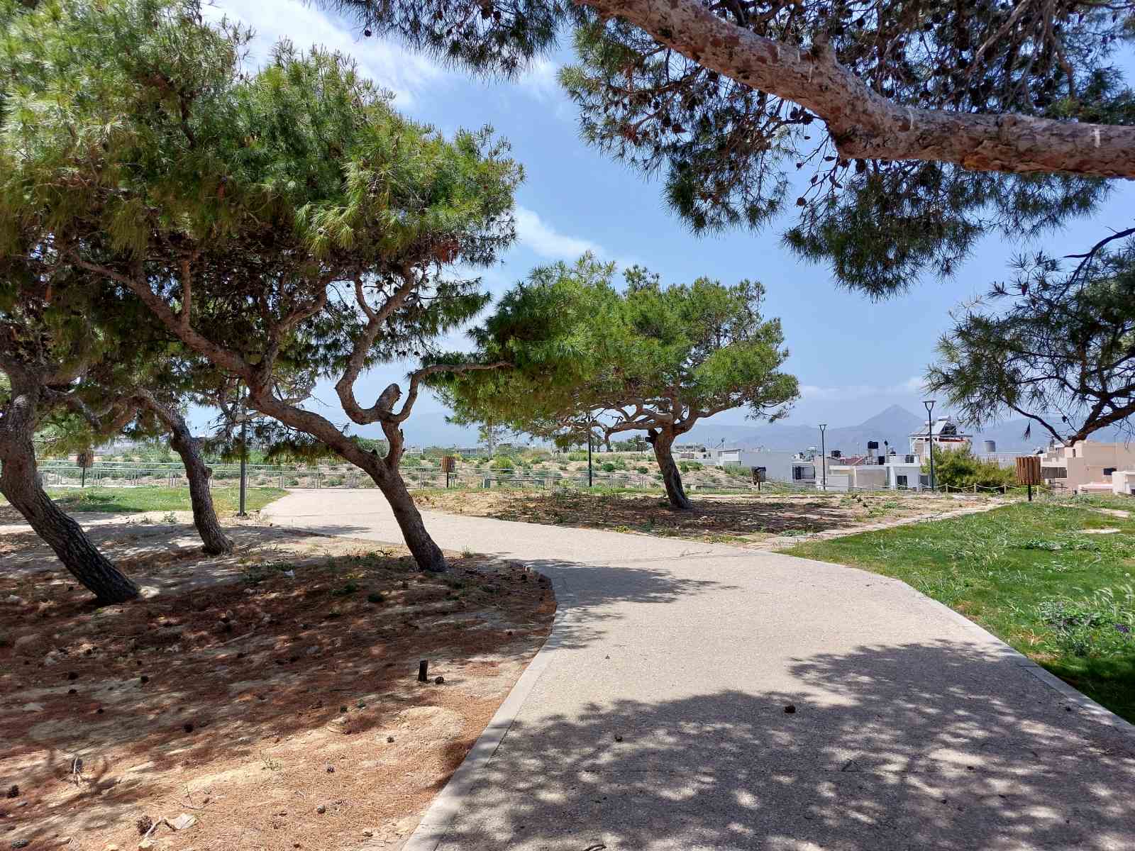 enetika teixi pagkakia2