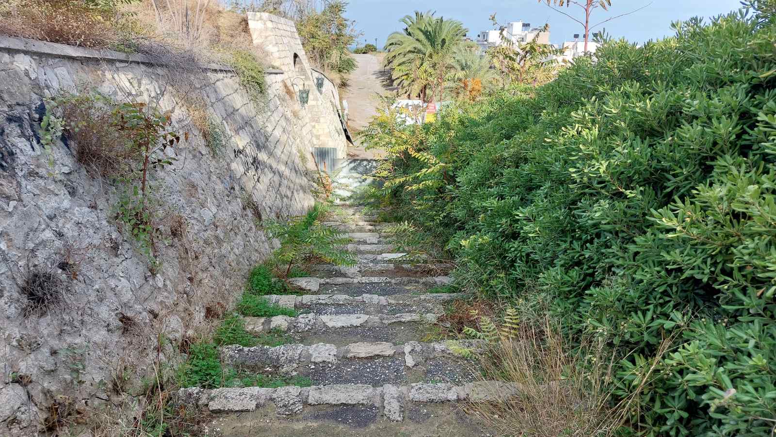 enetika teixi skalia3