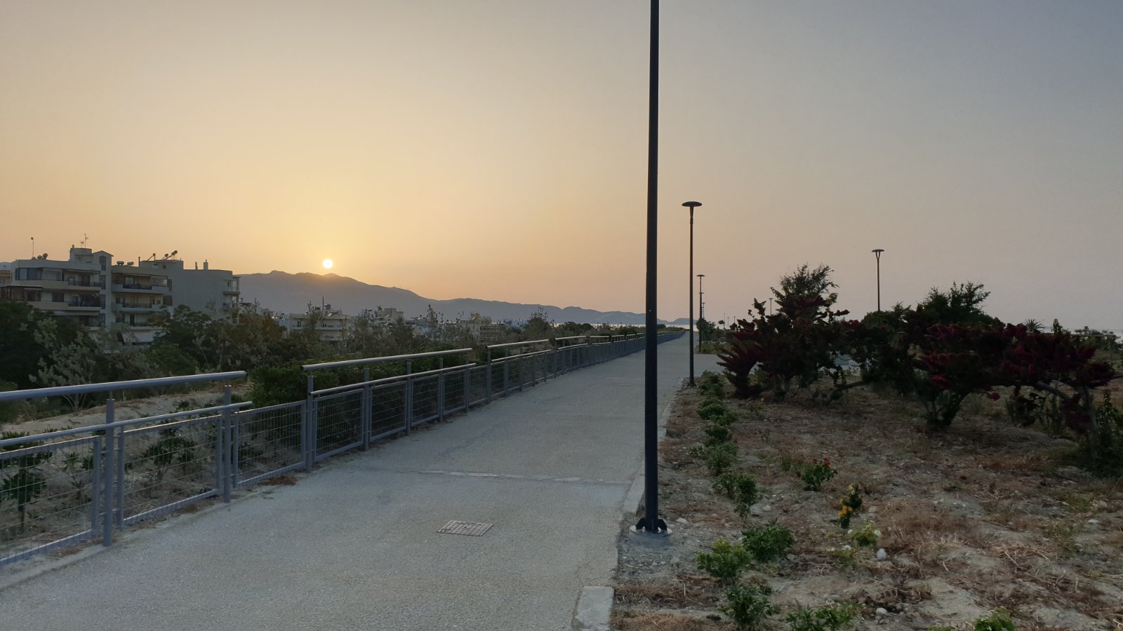 enetika teixi...............