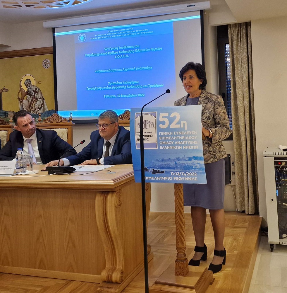 Γενική συνέλευση ΕΟΑΕΝ