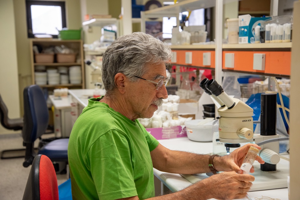 ΙΤΕ ερευνητές