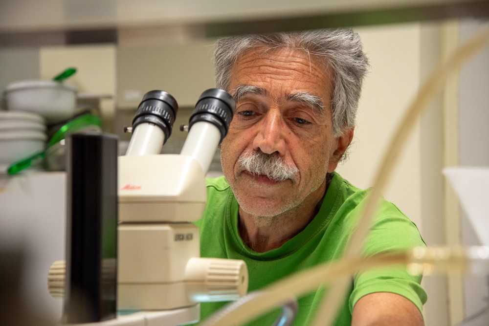 ΙΤΕ ερευνητές