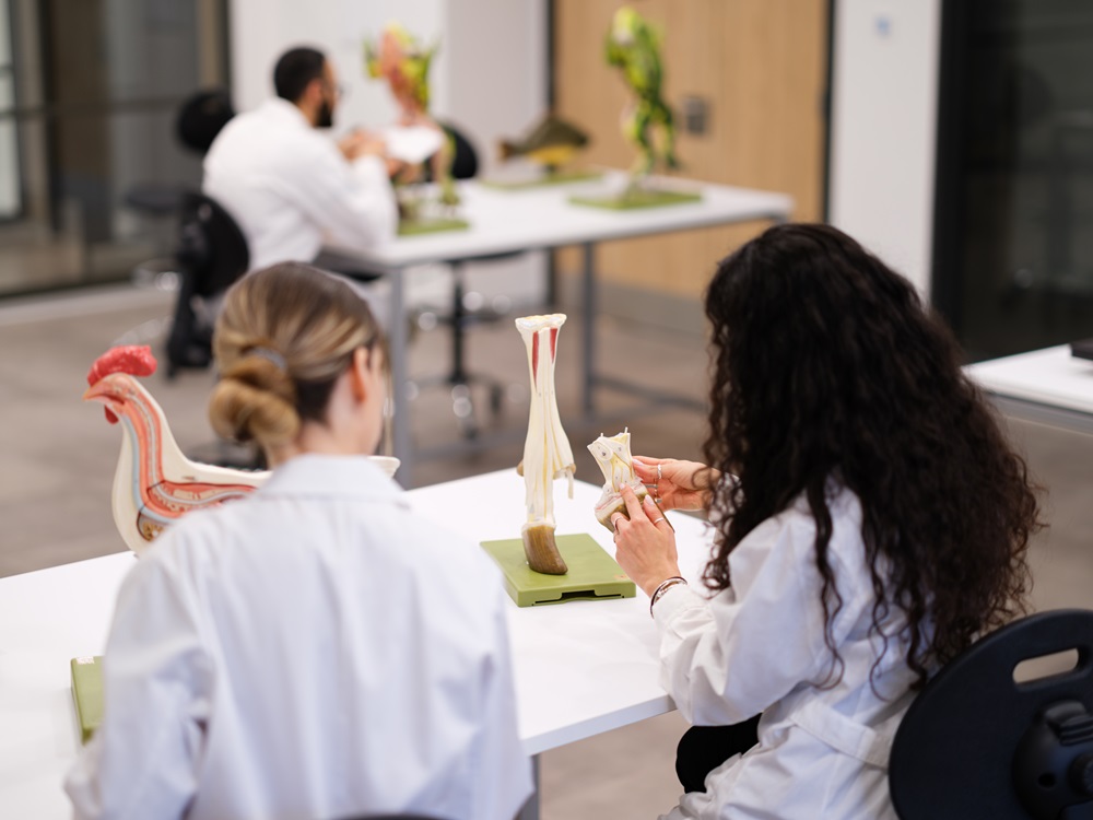 Ευρωπαϊκό Πανεπιστήμιο Κύπρου Κτηνιατρική