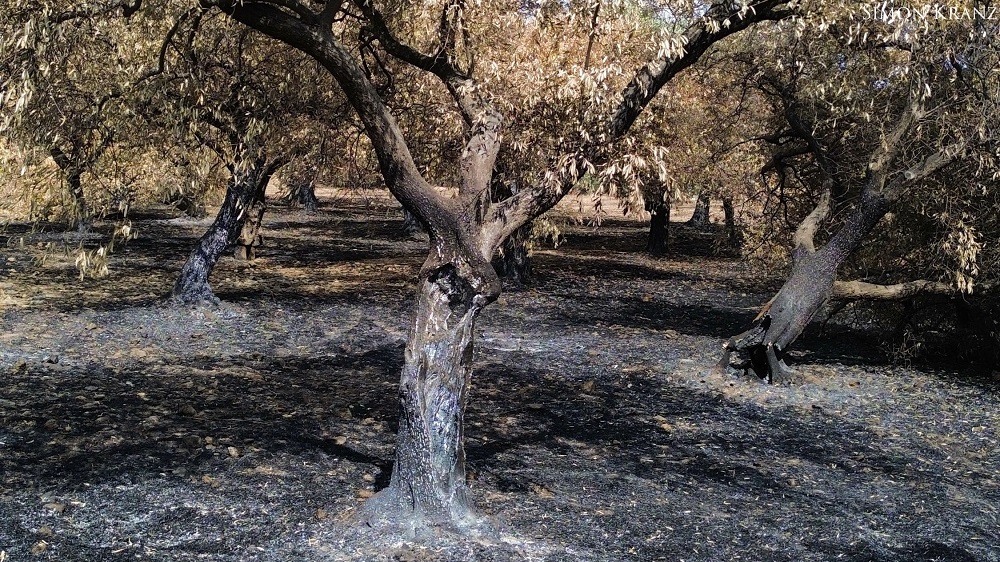 Έβρος καμένα