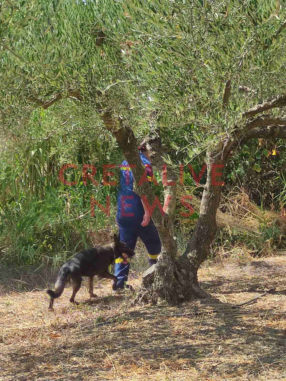 exafanisi armanogeia 2