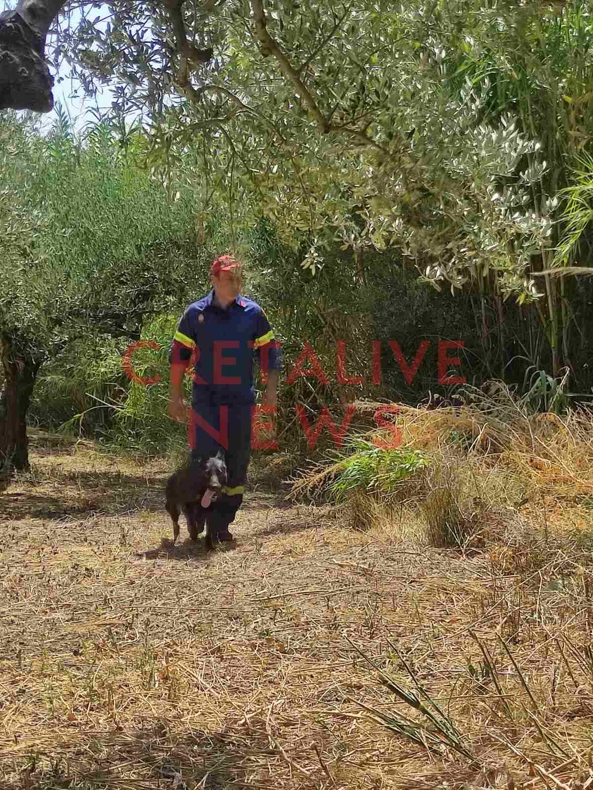 exafanisi armanogeia 3