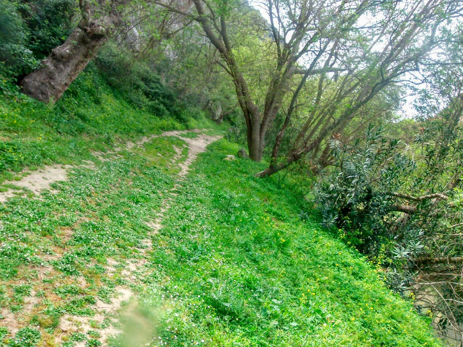 Φαράγγι Καρτερού