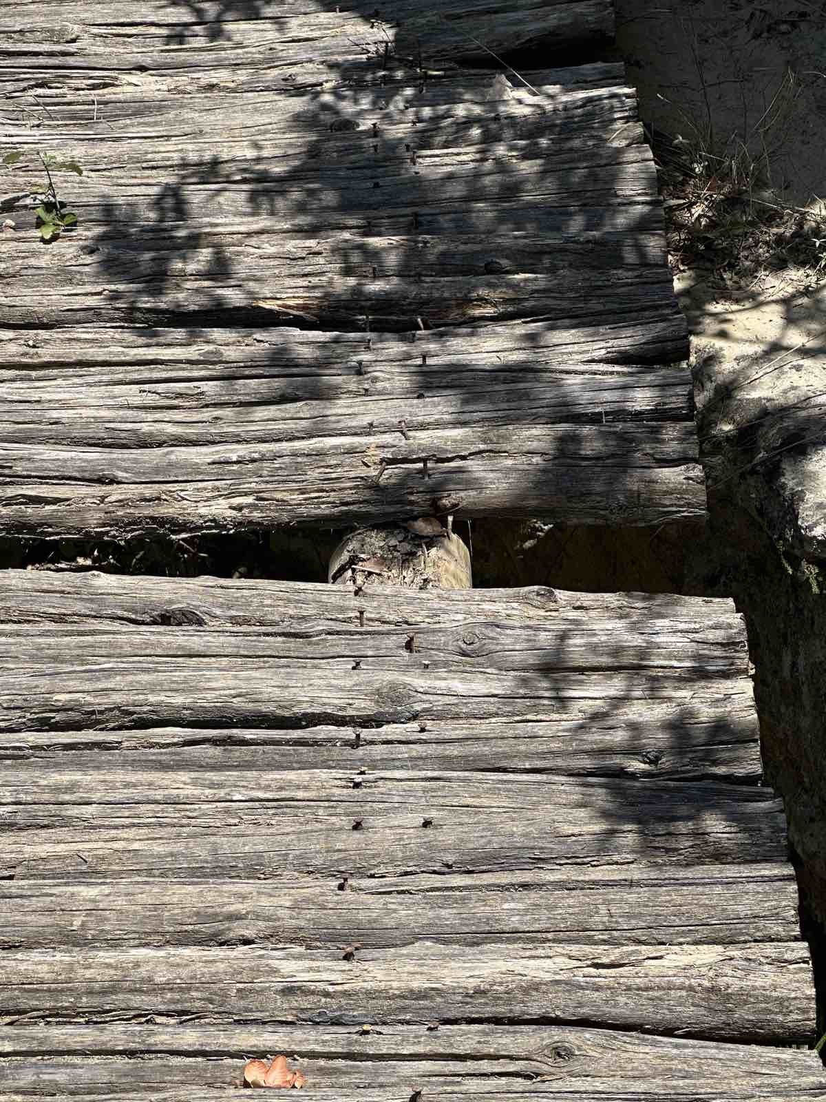 φαράγγι Καρτερού