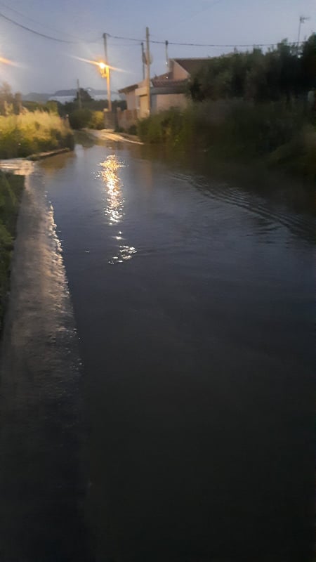 Φοινικιά νερά