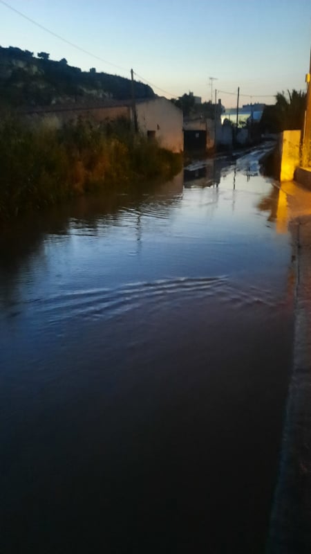 Φοινικιά νερά