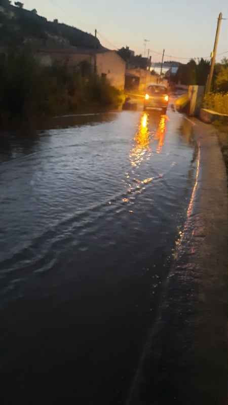 Φοινικιά νερά