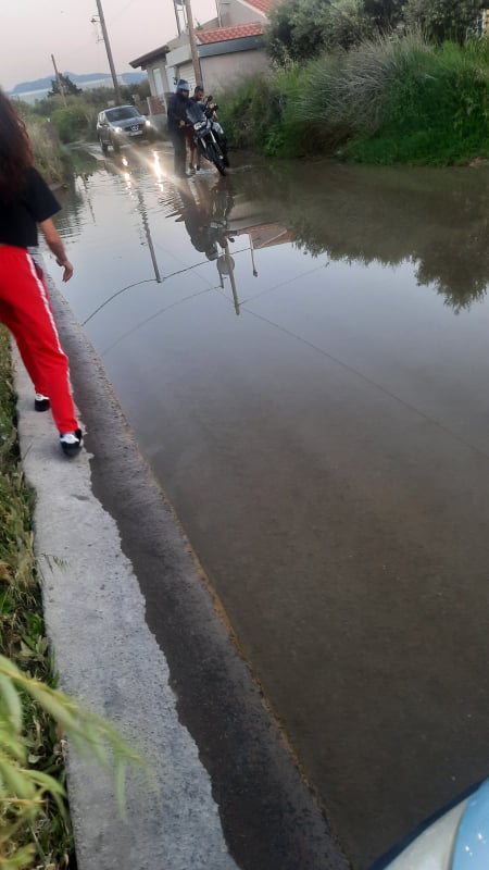 Φοινικιά νερά