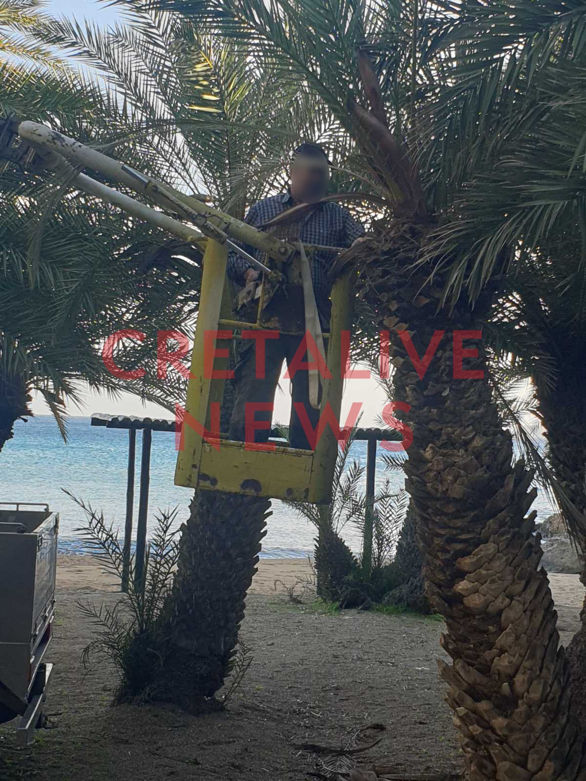 foinikodasos vai skathari