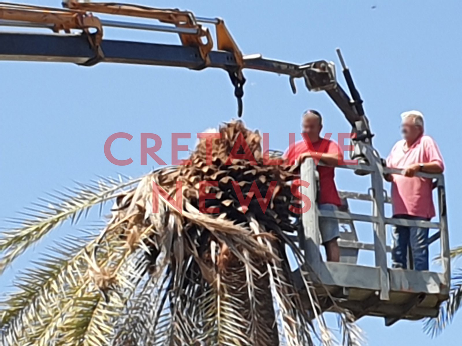 foinikodasos vai skathari 9