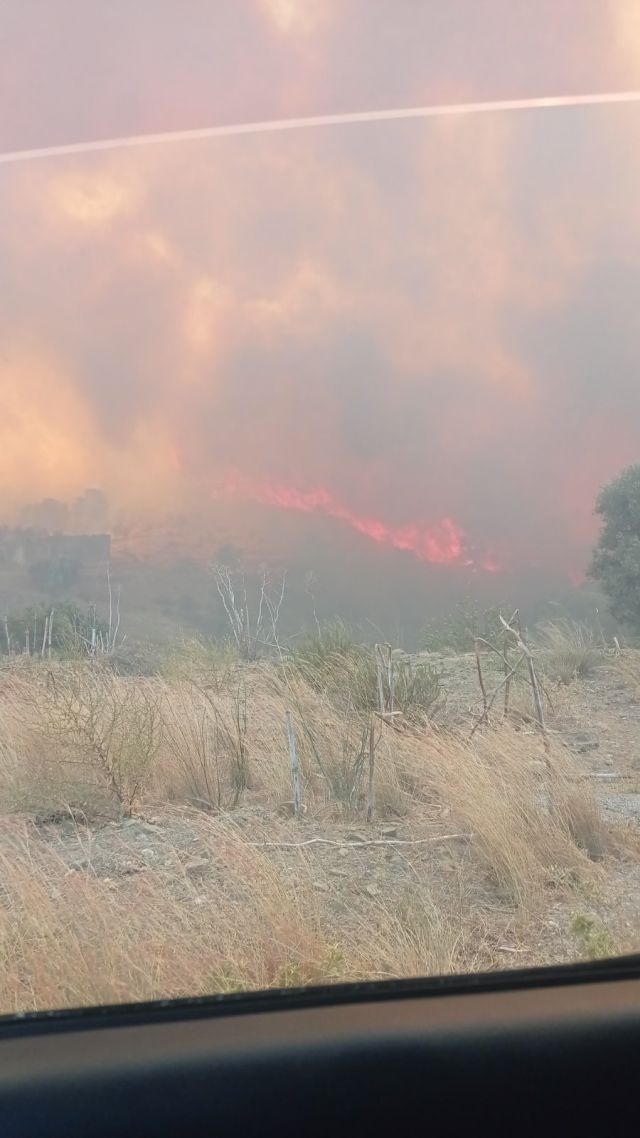 Φωτιά Αμάρι