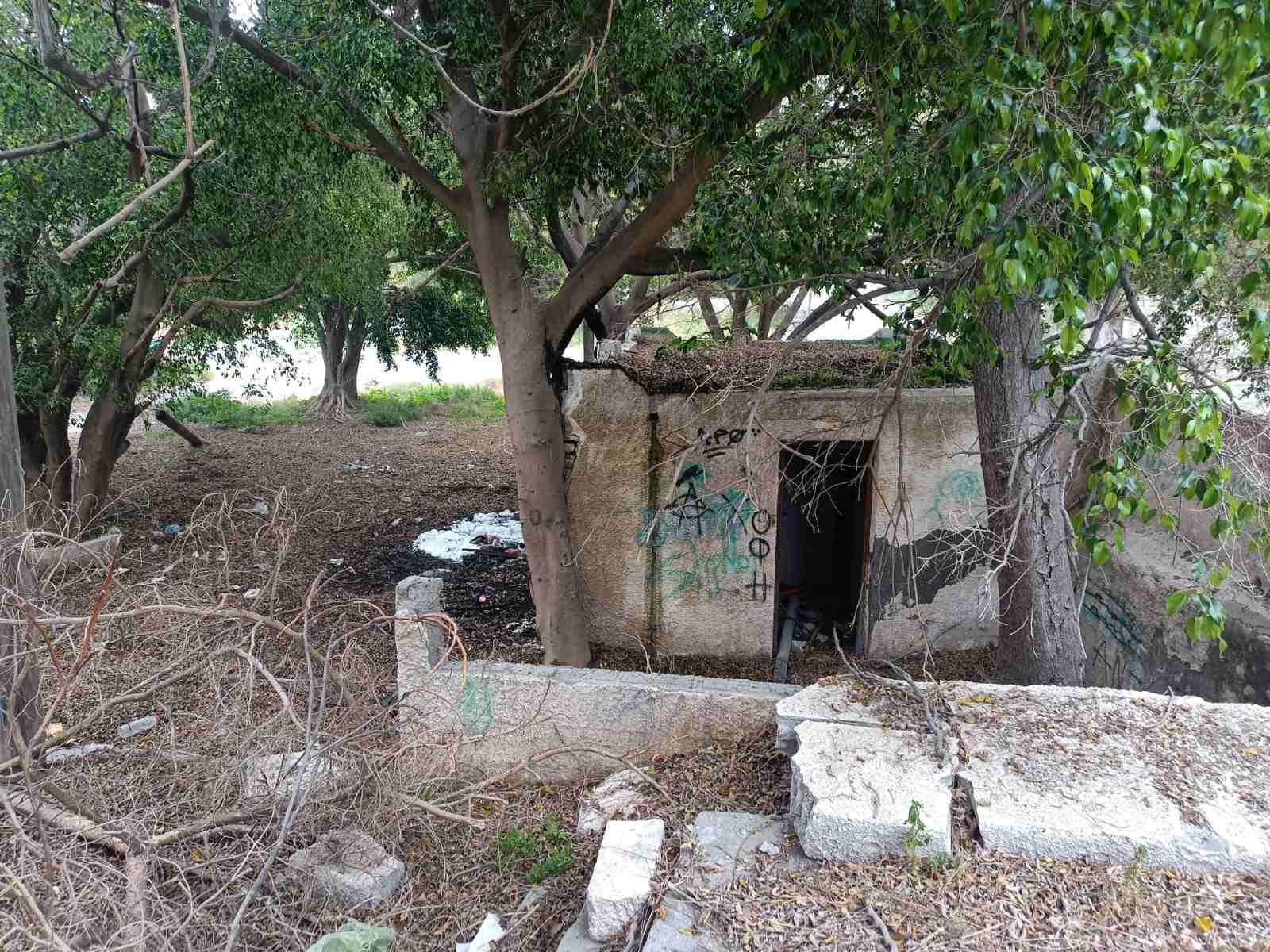 Φωτιά πάρκινγκ