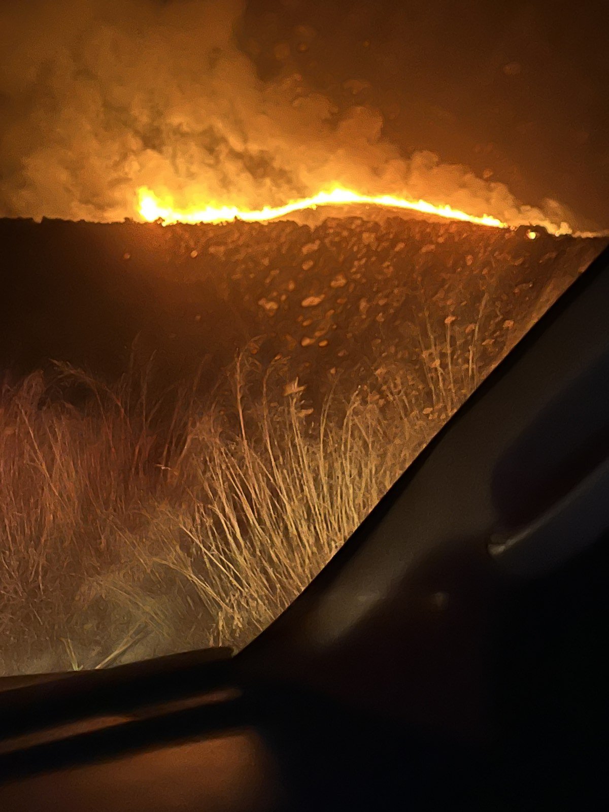 Φωτιά Παρθένι