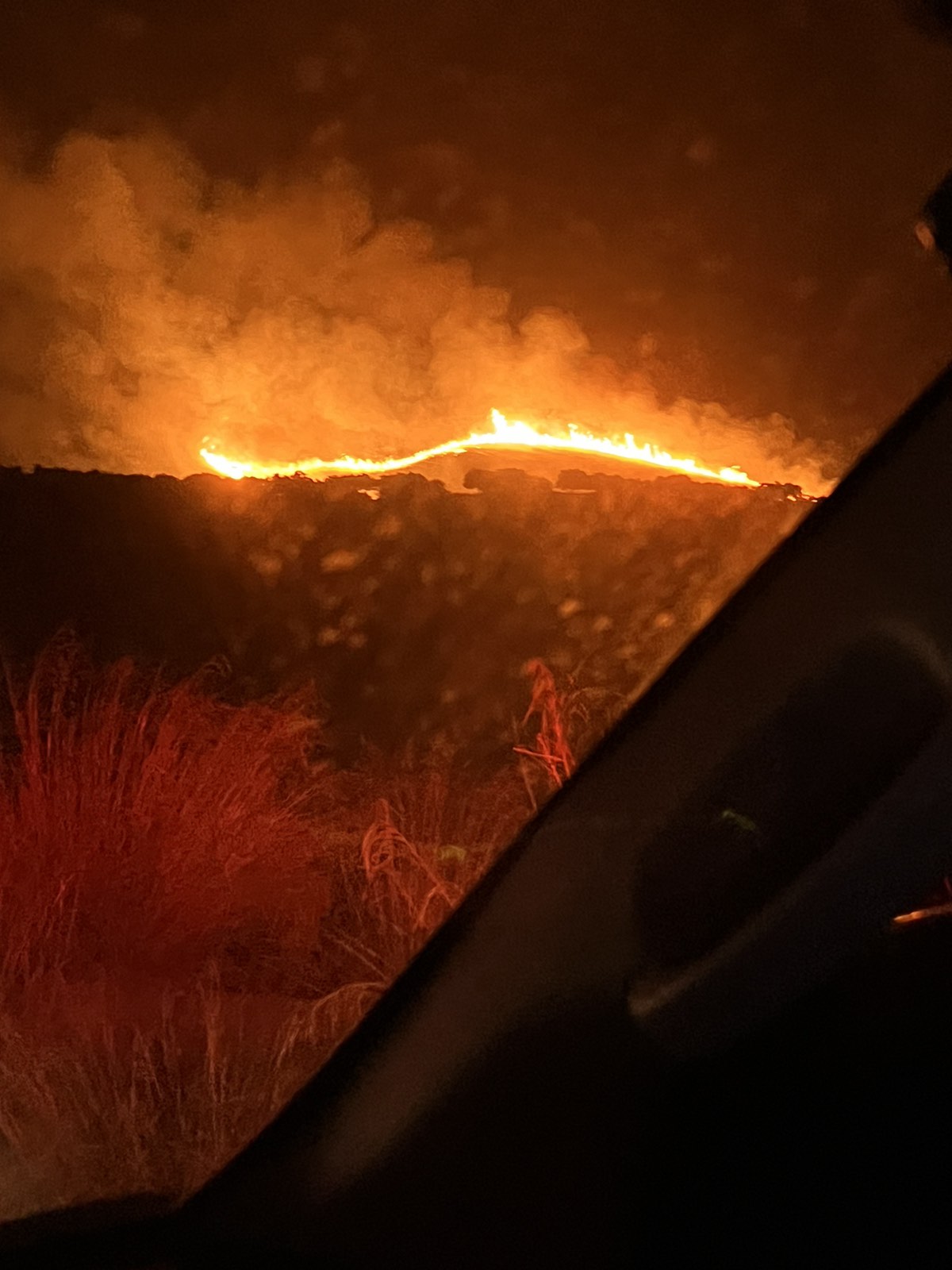 Φωτιά Παρθένι