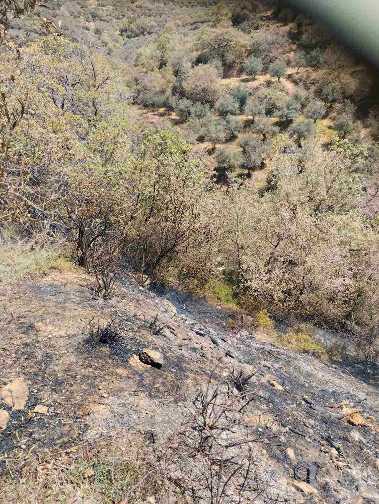 φωτιά Πολυθέα