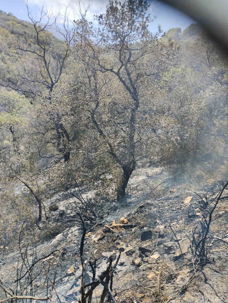 φωτιά Πολυθέα