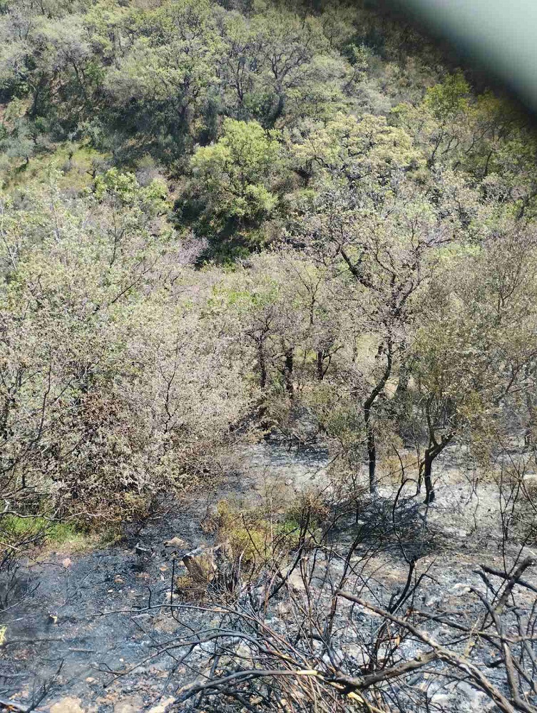 φωτιά Πολυθέα