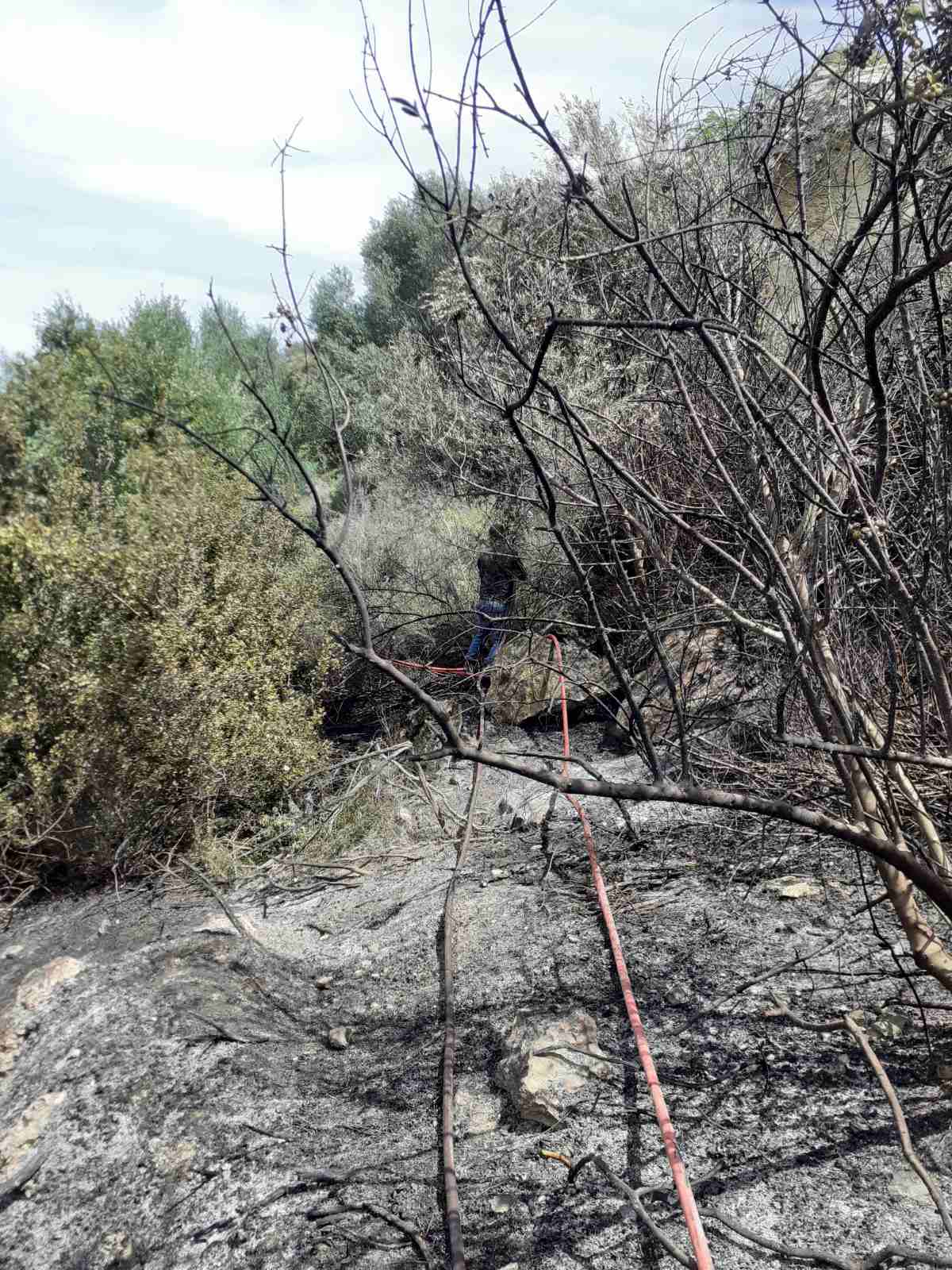 fotia profitis ilias