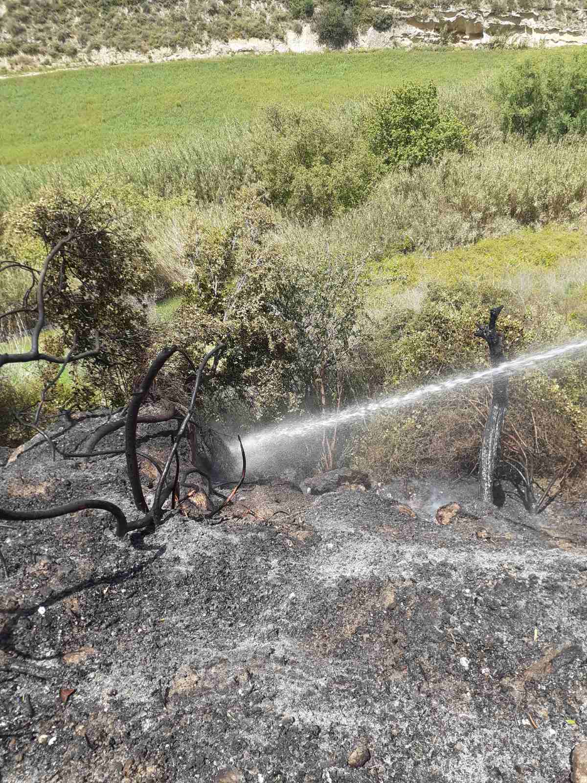 fotia profitis ilias2