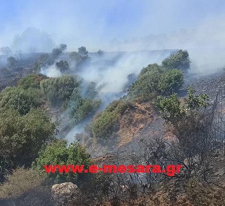 Φωτιά Ροδάκινο