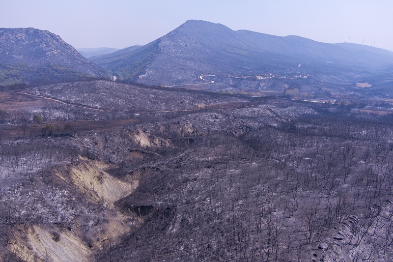 ΒΑΣΙΛΗΣ ΒΕΡΒΕΡΙΔΗΣ / ΜΟΤΙΟΝ ΤΕΑΜ)