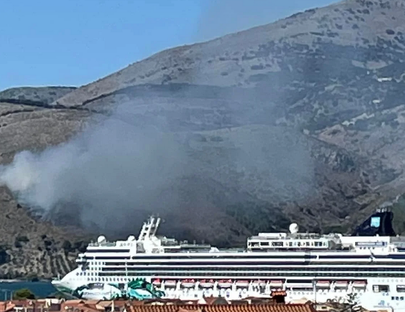 φωτιά Κεφαλονιά