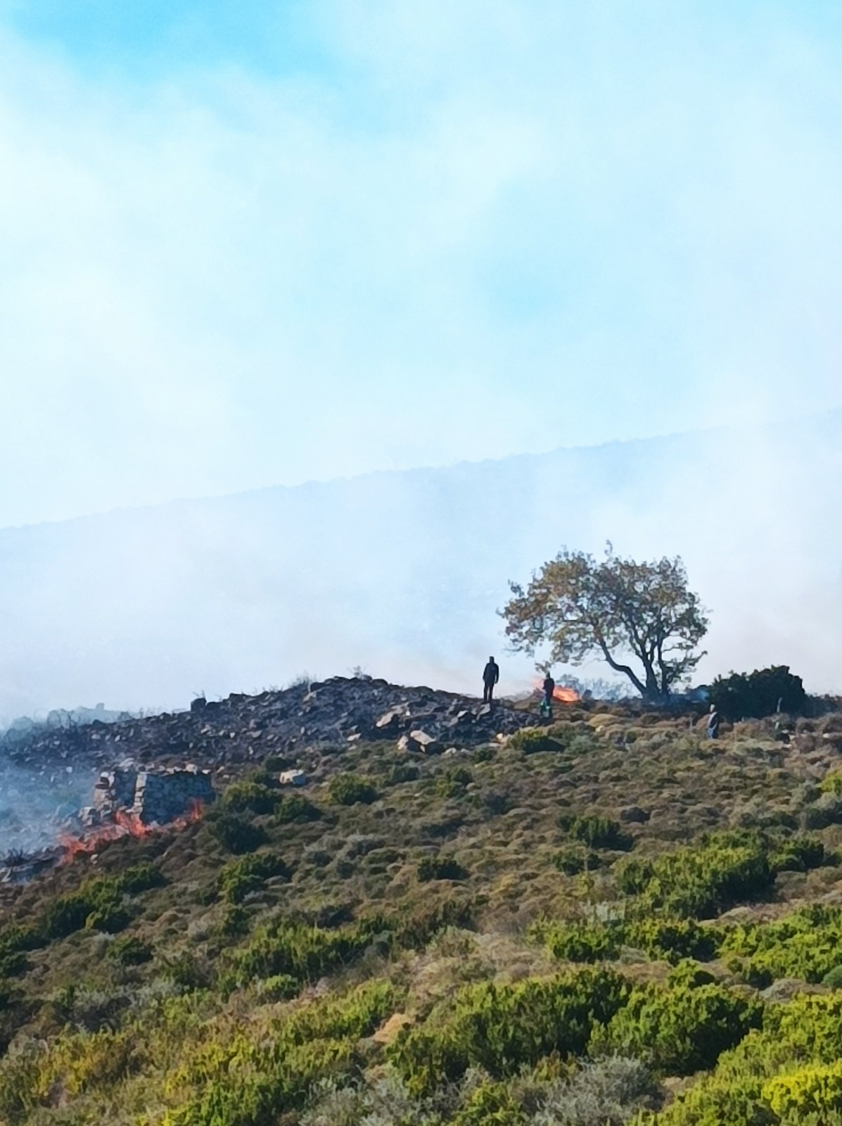 Αστερούσια φωτιά